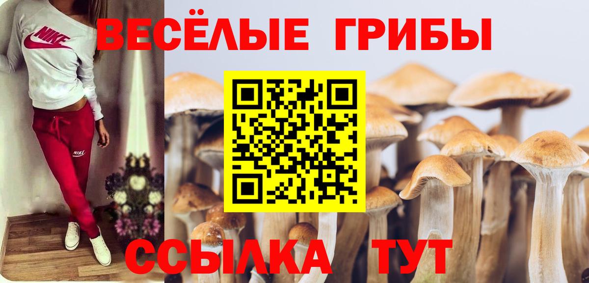 Обнинск  Галлюциногенные грибы ЛСД  Вход с VPN  Галлюциногенные грибы прущие грибы 