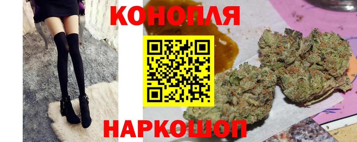 Конопля OG Kush Обнинск